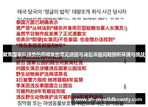 聚焦国家队球员伤停频发的常见诱因与背后深层问题探析环境与挑战 聚焦国家队球员伤停频发的常见诱因与背后深层问题探析环境与挑战