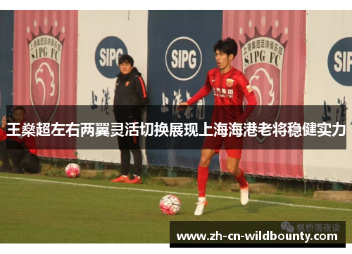 王燊超左右两翼灵活切换展现上海海港老将稳健实力 王燊超左右两翼灵活切换展现上海海港老将稳健实力
