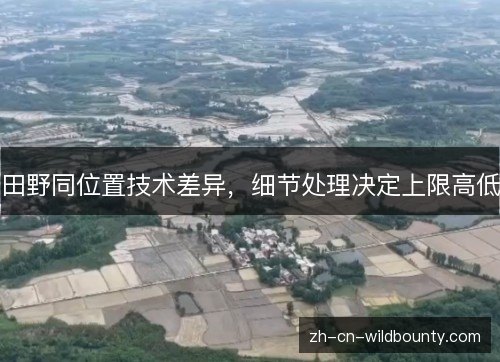 田野同位置技术差异,细节处理决定上限高低 田野同位置技术差异,细节处理决定上限高低