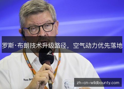 罗斯·布朗技术升级路径,空气动力优先落地 罗斯·布朗技术升级路径,空气动力优先落地