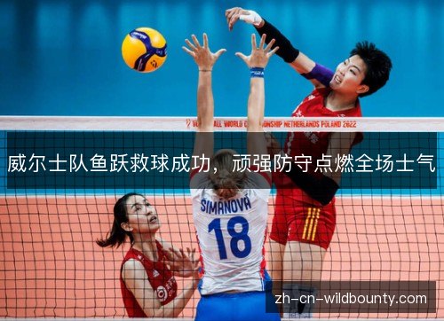 威尔士队鱼跃救球成功，顽强防守点燃全场士气